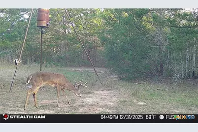 1873 County Road 136A, Hallettsville, TX 77964 - Photo 29