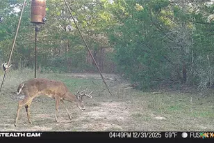 1873 Co Rd 136A, Hallettsville, TX 77964 - Photo 29