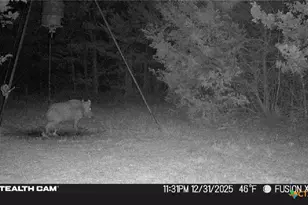 1873 Co Rd 136A, Hallettsville, TX 77964 - Photo 21