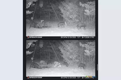 1873 County Road 136A, Hallettsville, TX 77964 - Photo 33