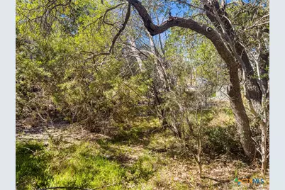 1738 Cave Drive, Spring Branch, TX 78070 - Photo 5