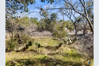 1738 Cave Drive, Spring Branch, TX 78070 - Photo 7