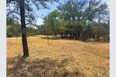 238 Sandy Mountain Drive, Sunrise Beach, TX 78639 - Photo 3