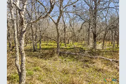 372 Shoshoni Lane, Kingsbury, TX 78638 - Photo 3