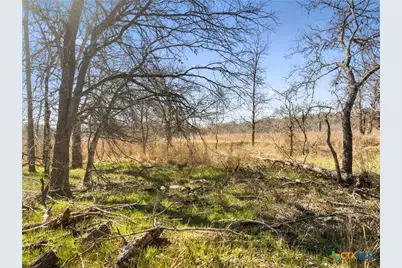 372 Shoshoni Lane, Kingsbury, TX 78638 - Photo 7