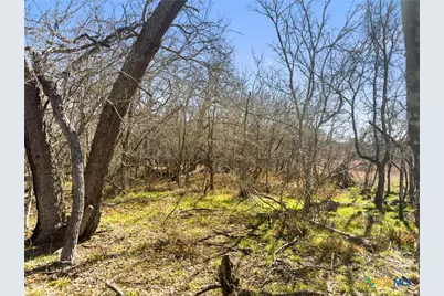 372 Shoshoni Lane, Kingsbury, TX 78638 - Photo 9