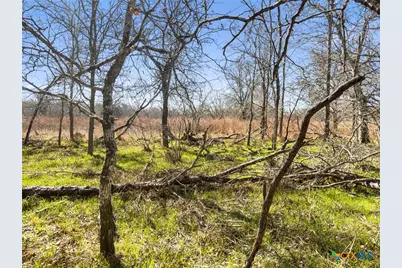 372 Shoshoni Lane, Kingsbury, TX 78638 - Photo 11