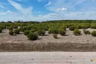 Lot 42 Starfall Dr, Lampasas, TX 76550 - Photo 3