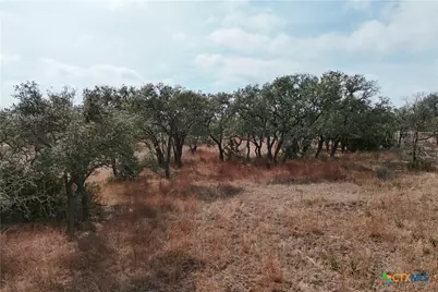 Lot 57-6 Bryce Trail, Briggs, TX 78608 - Photo 9