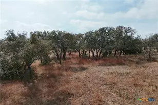 Lot 57-6 Bryce Trail, Briggs, TX 78608 - Photo 9