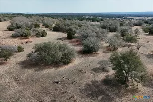 Lot 57-6 Bryce Trail, Briggs, TX 78608 - Photo 3