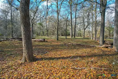 Tbd Tract 1 10.1 Acres Cr 230, Harwood, TX 78632 - Photo 7