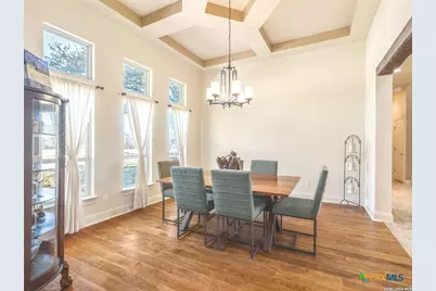 526 River Crossing Boulevard, Spring Branch, TX 78070 - Photo 5