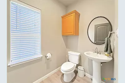 1009 Eagle Flight Drive, Canyon Lake, TX 78133 - Photo 33