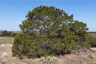 Lot 30 Cr 252, Bertram, TX 78605 - Photo 19