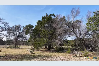 Lot 30 Cr 252, Bertram, TX 78605 - Photo 11