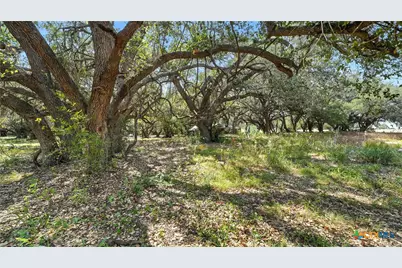 1784 Fm 538, Stockdale, TX 78160 - Photo 11