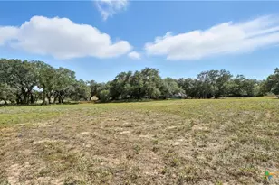 1784 Fm 538, Stockdale, TX 78160 - Photo 9