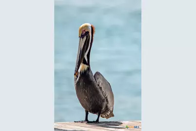 27 Las Palmas Drive, Port O'Connor, TX 77982 - Photo 29