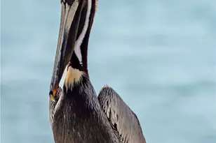 27 Las Palmas Dr, Port O'Connor, TX 77982 - Photo 29