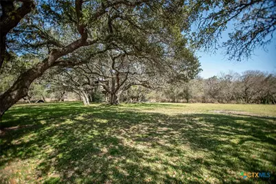 303 Garcitas Grove, Inez, TX 77968 - Photo 33