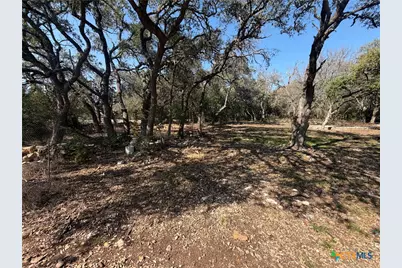 2883 Wegner Road, New Braunfels, TX 78132 - Photo 7
