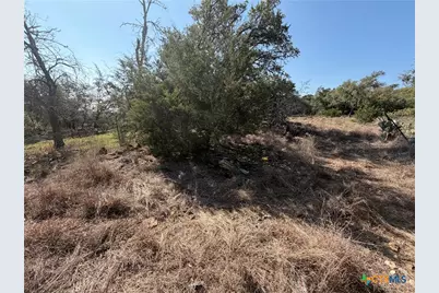 2883 Wegner Road, New Braunfels, TX 78132 - Photo 15