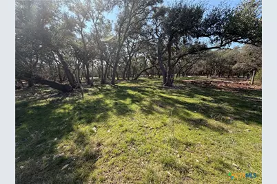 2883 Wegner Road, New Braunfels, TX 78132 - Photo 11