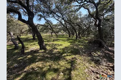 2883 Wegner Road, New Braunfels, TX 78132 - Photo 9