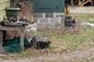 496 Ramona Rd, Seadrift, TX 77983 - Photo 13