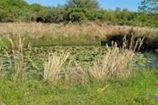 496 Ramona Rd, Seadrift, TX 77983 - Photo 25