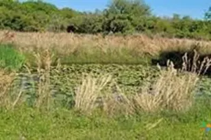 496 Ramona Rd, Seadrift, TX 77983 - Photo 23