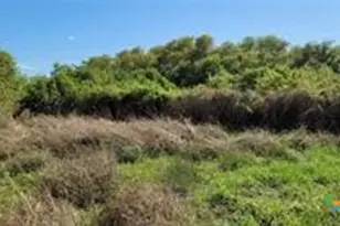 496 Ramona Rd, Seadrift, TX 77983 - Photo 29