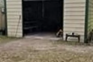 496 Ramona Rd, Seadrift, TX 77983 - Photo 11