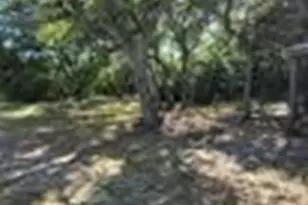 496 Ramona Rd, Seadrift, TX 77983 - Photo 31