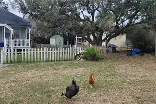 496 Ramona Rd, Seadrift, TX 77983 - Photo 3