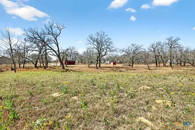1298 County Road 425, Stockdale, TX 78160 - Photo 11