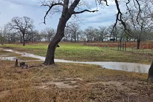 1298 County Rd 425, Stockdale, TX 78160 - Photo 41