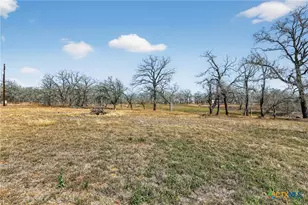 1298 County Rd 425, Stockdale, TX 78160 - Photo 13