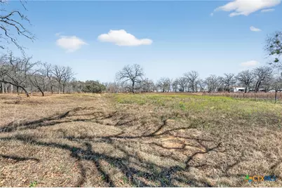 1298 County Road 425, Stockdale, TX 78160 - Photo 9