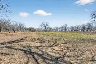 1298 County Rd 425, Stockdale, TX 78160 - Photo 9