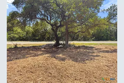 1107 High Point Lane, Spring Branch, TX 78070 - Photo 5