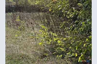 709 Locust Street, Bastrop, TX 78602 - Photo 5