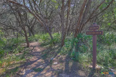 337 Lone Creek Circle, New Braunfels, TX 78132 - Photo 43
