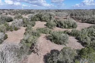 838 E Oak St, Goliad, TX 77963 - Photo 19