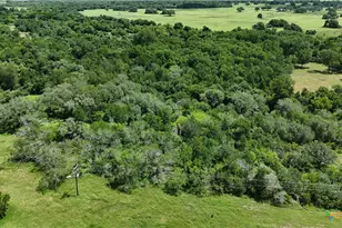 752 Lassman Rd, Goliad, TX 77963 - Photo 5