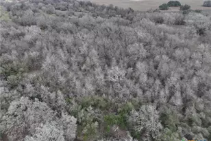 752 Lassman Rd, Goliad, TX 77963 - Photo 7