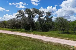 752 Lassman Rd, Goliad, TX 77963 - Photo 23