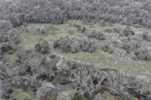 752 Lassman Rd, Goliad, TX 77963 - Photo 13