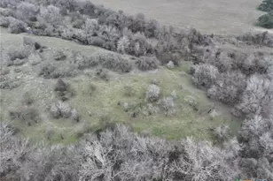 752 Lassman Rd, Goliad, TX 77963 - Photo 11